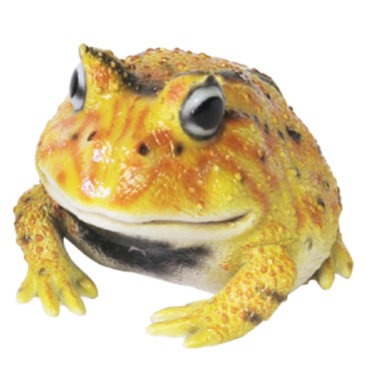 オブジェ REPTILES MAG | livingut | 詳細画像7 