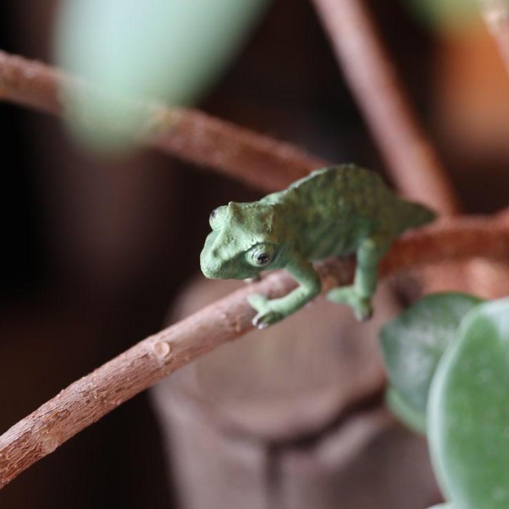 オブジェ REPTILES MAG | livingut | 詳細画像4 
