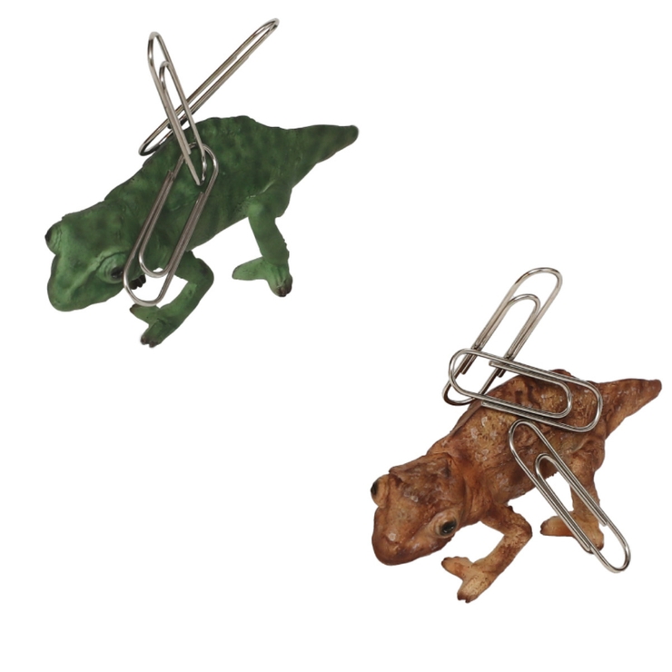 オブジェ REPTILES MAG | livingut | 詳細画像8 