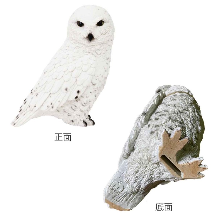 オブジェ シロフクロウ ペットバンク | livingut | 詳細画像2 