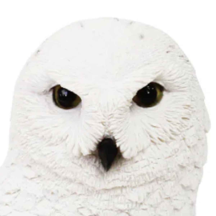 オブジェ シロフクロウ ペットバンク | livingut | 詳細画像5 