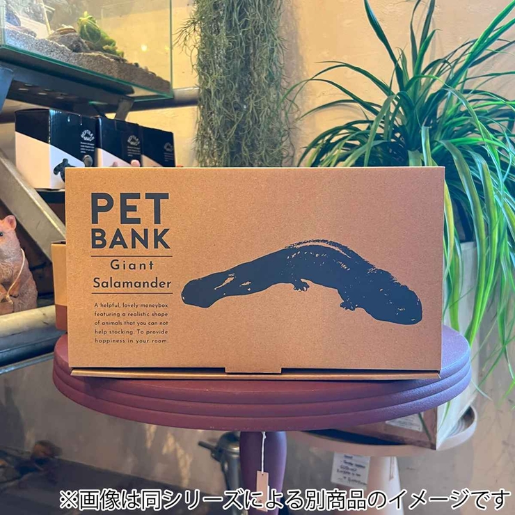 オブジェ ミーアキャット ペットバンク | livingut | 詳細画像6 