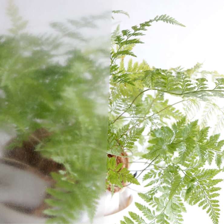 飛散軽減フィルム 46cmx90cm 2枚入り | livingut | 詳細画像6 