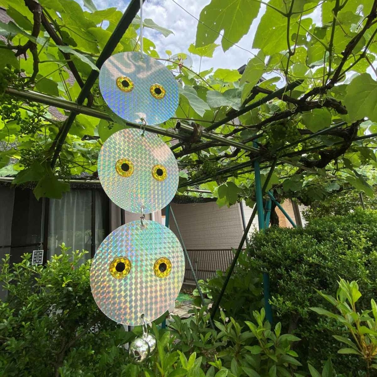 鳥よけ ピカット3兄弟 幅12×高さ41cm | livingut | 詳細画像1 