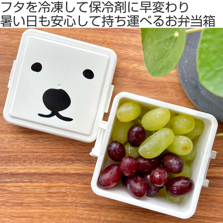 お弁当箱 GEL COOま | livingut | 詳細画像2 