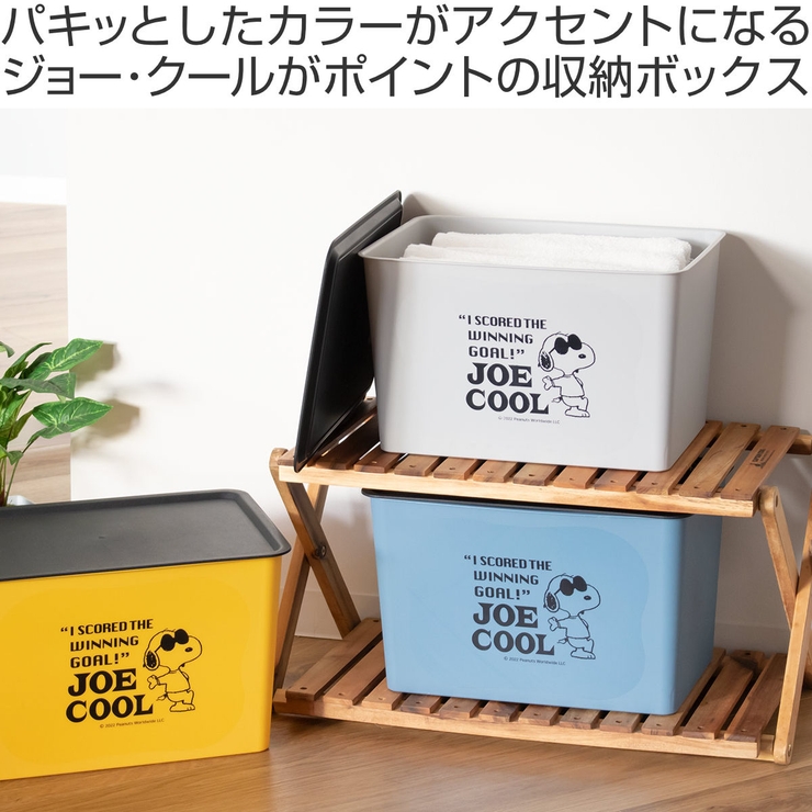 収納ボックス L 幅38×奥行27×高さ24cm[品番：KRFH0025895]｜livingut