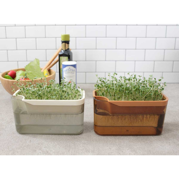 栽培キット ベジマジ そだてる | livingut | 詳細画像5 