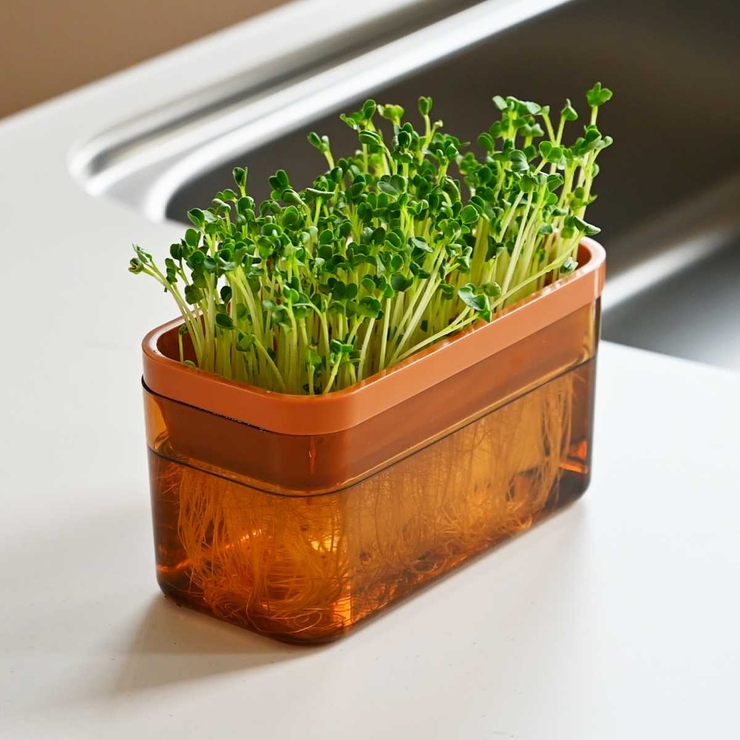 栽培キット ベジマジ そだてる | livingut | 詳細画像6 