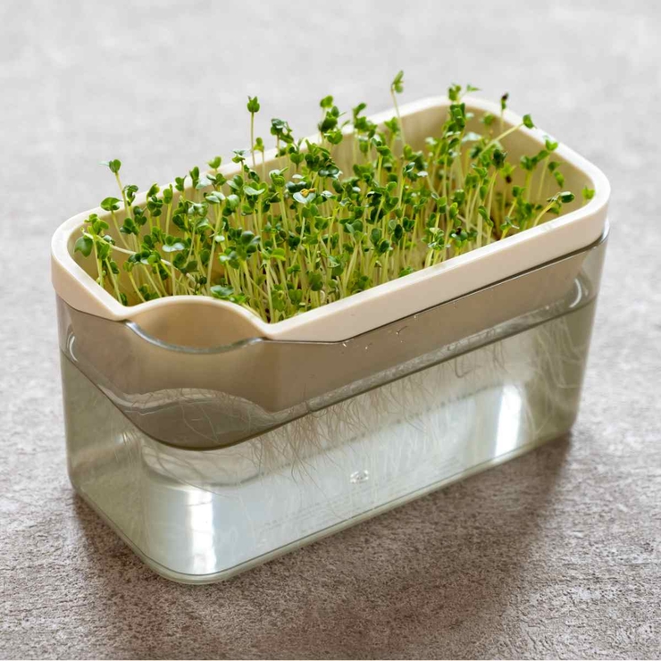 栽培キット ベジマジ そだてる | livingut | 詳細画像7 