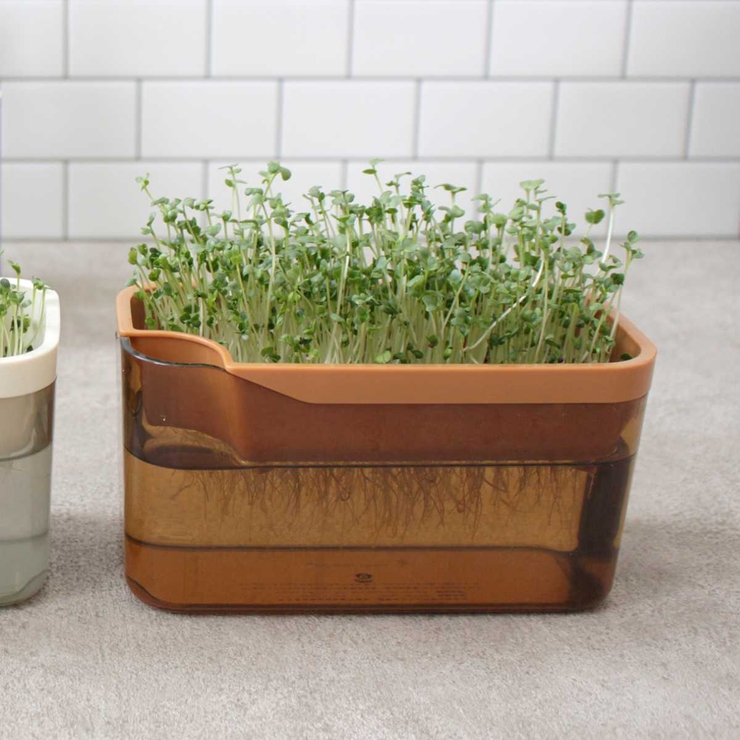 栽培キット ベジマジ そだてる | livingut | 詳細画像8 