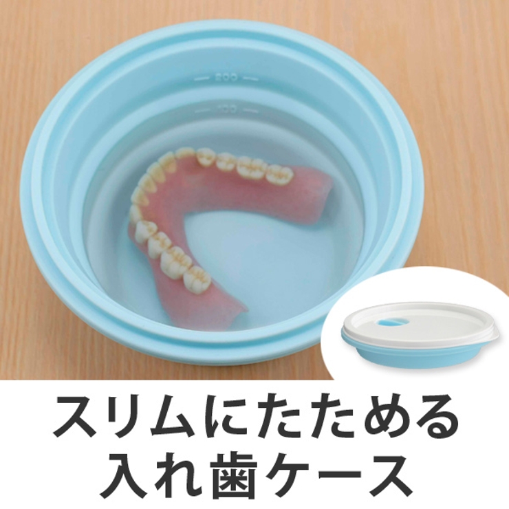 入れ歯 スリムにたためる 入れ歯ケース | livingut | 詳細画像1 