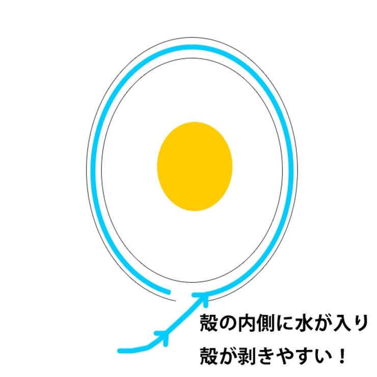 ゆで卵殻むき たまごの穴あけくん 日本製 | livingut | 詳細画像4 