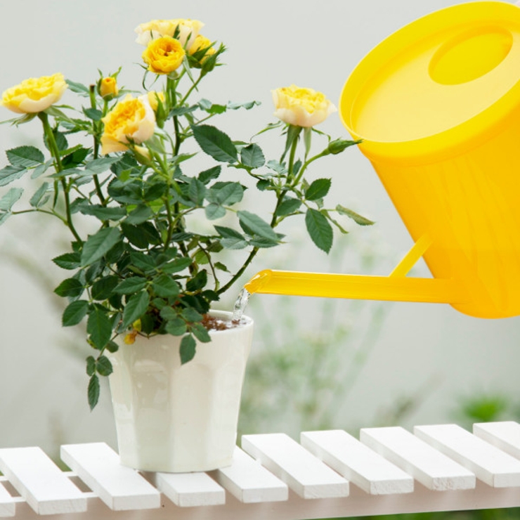 ジョーロ ラウンドピッチャー 2L | livingut | 詳細画像6 