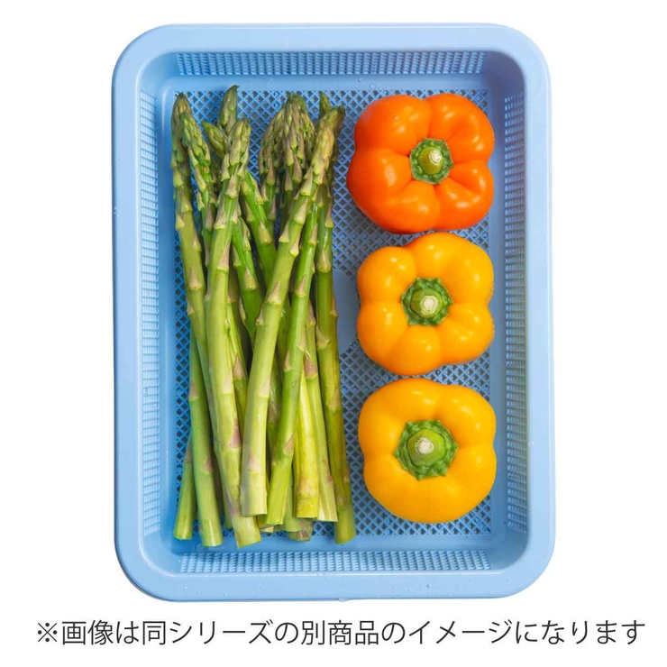 アシスト 抗菌角型ザル 深2型 | livingut | 詳細画像4 