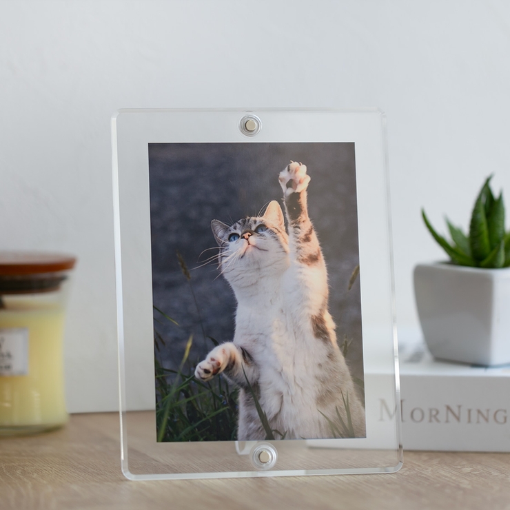 マグパチ フォトフレーム スタンダード | livingut | 詳細画像10 