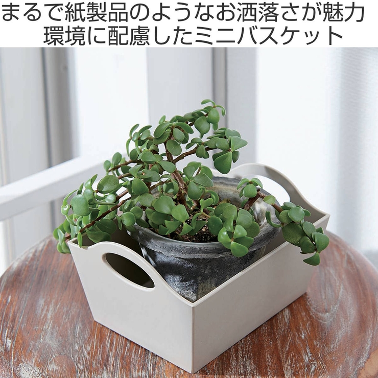 小物収納 ミニバスケット S | livingut | 詳細画像2 