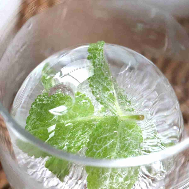 丸氷 製氷器 俺の丸氷 | livingut | 詳細画像10 