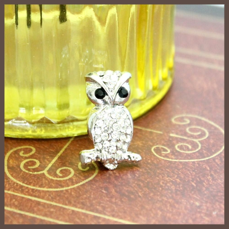 ちいさなフクロウブローチ | lunolumo | 詳細画像1 