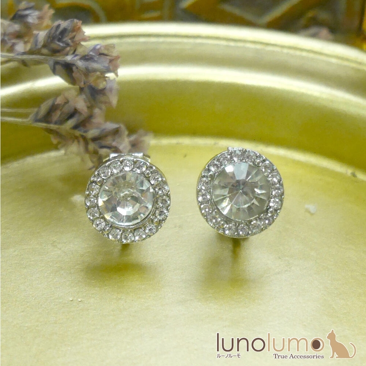 イヤリング レディース ビジュ | lunolumo | 詳細画像1 