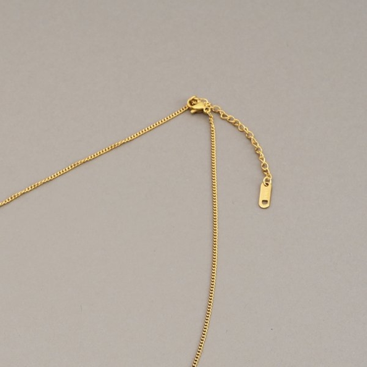 【金属アレルギー対応 316L】チェーントップステンレスネックレス | LUPIS | 詳細画像6 