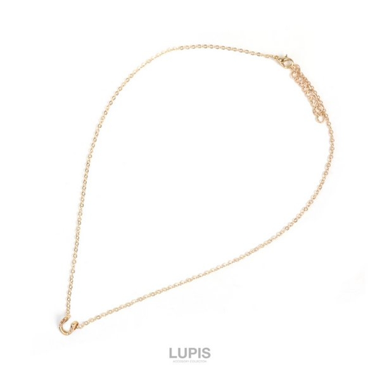 プチホースシューネックレス  | LUPIS | 詳細画像4 