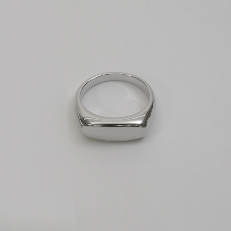 シルバー約11号 | 【金属アレルギー対応 316L】オーバルステンレスシグネットリング | LUPIS