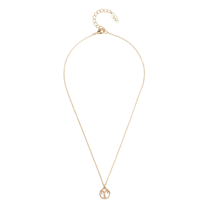 Ariesネックレス | Ungrid | 詳細画像14 