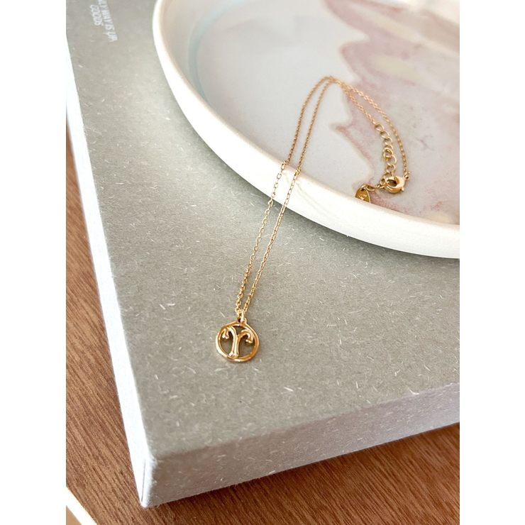 Ariesネックレス | Ungrid | 詳細画像9 