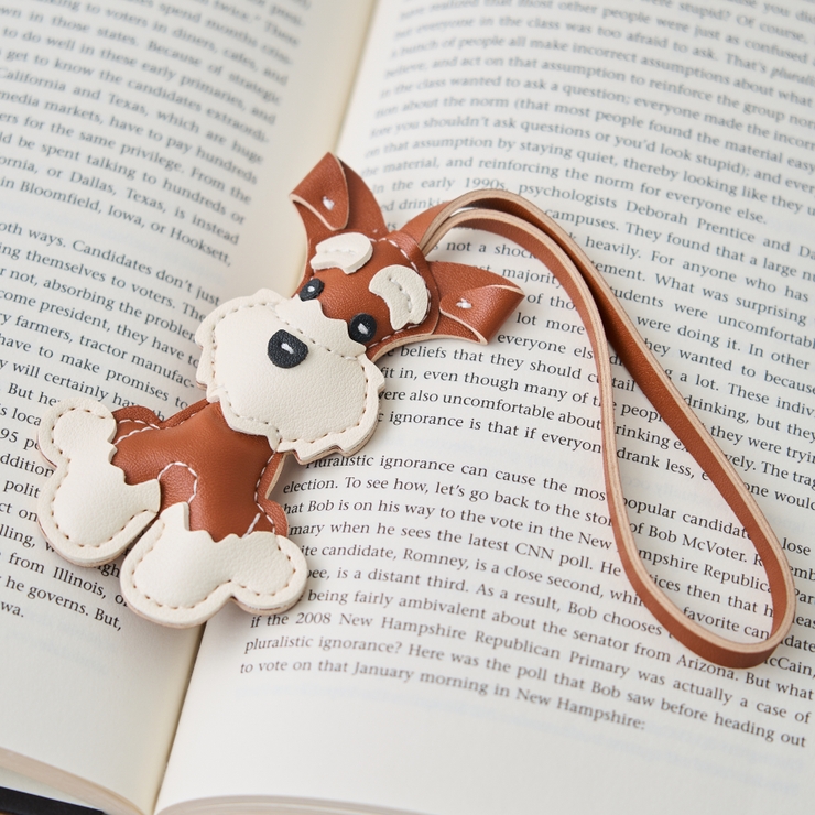 キャメル | シュナウザーチャーム | RMAF　NICE CLAUP / OLIVE des OLIVE