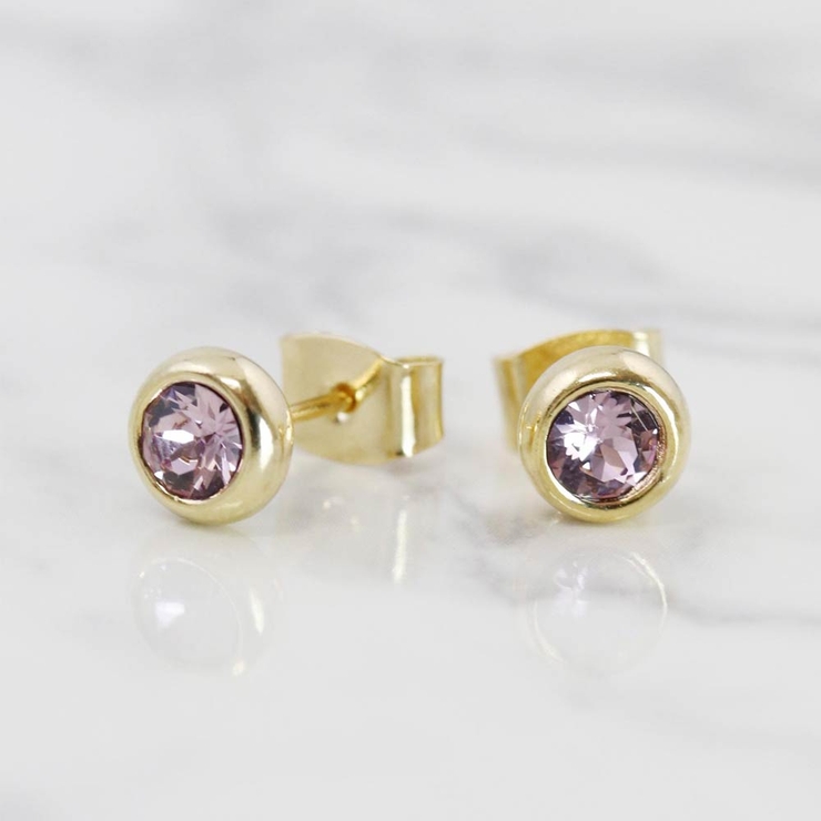 Birthstone スワロフスキー ネット限定品 2月 パープル ピアス | yukta.my