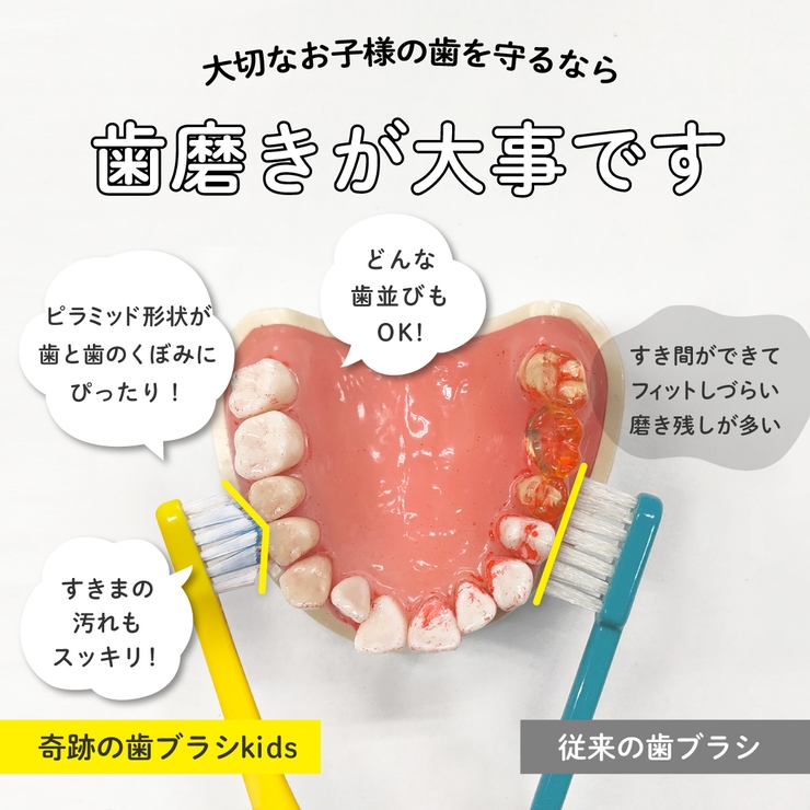 公式 奇跡の歯ブラシkids（乳歯・仕上げ磨き用）3本セット | 奇跡の歯ブラシ | 詳細画像3 