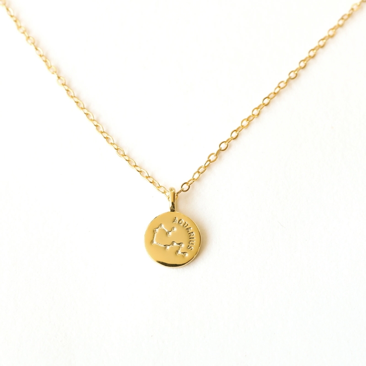 みずがめ座 | 星座ネックレス ネックレス 金属アレルギー対応 レディース シルバー コイン | Noelmarket