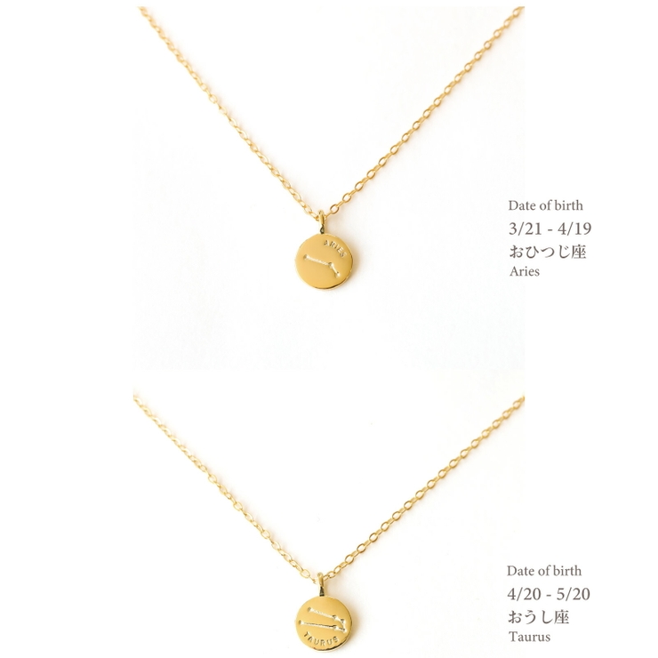 星座ネックレス ネックレス 金属アレルギー対応 レディース シルバー コイン | Noelmarket | 詳細画像11 