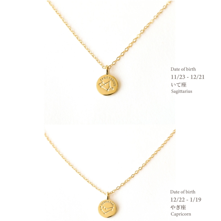 星座ネックレス ネックレス 金属アレルギー対応 レディース シルバー コイン | Noelmarket | 詳細画像15 