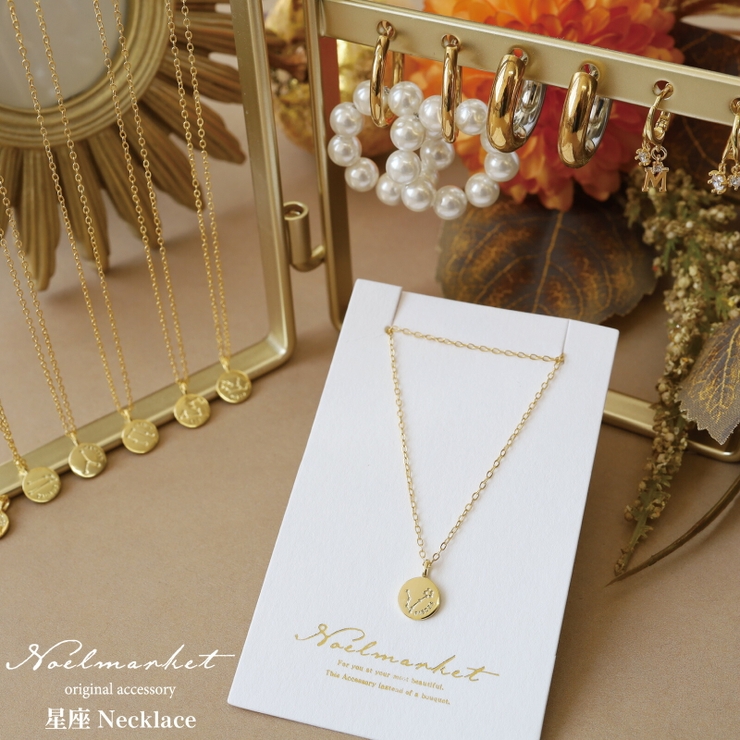 星座ネックレス ネックレス 金属アレルギー対応 レディース シルバー コイン | Noelmarket | 詳細画像4 