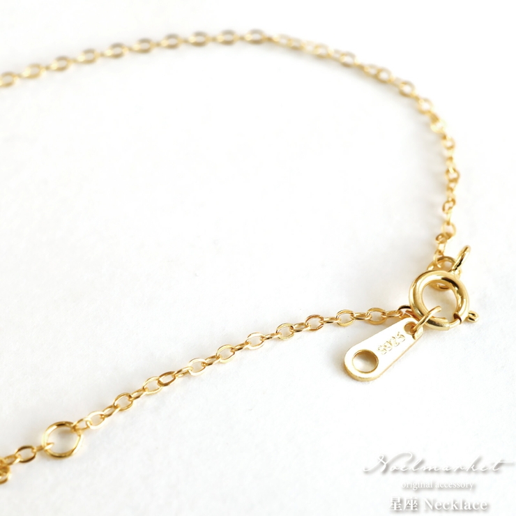 星座ネックレス ネックレス 金属アレルギー対応 レディース シルバー コイン | Noelmarket | 詳細画像10 