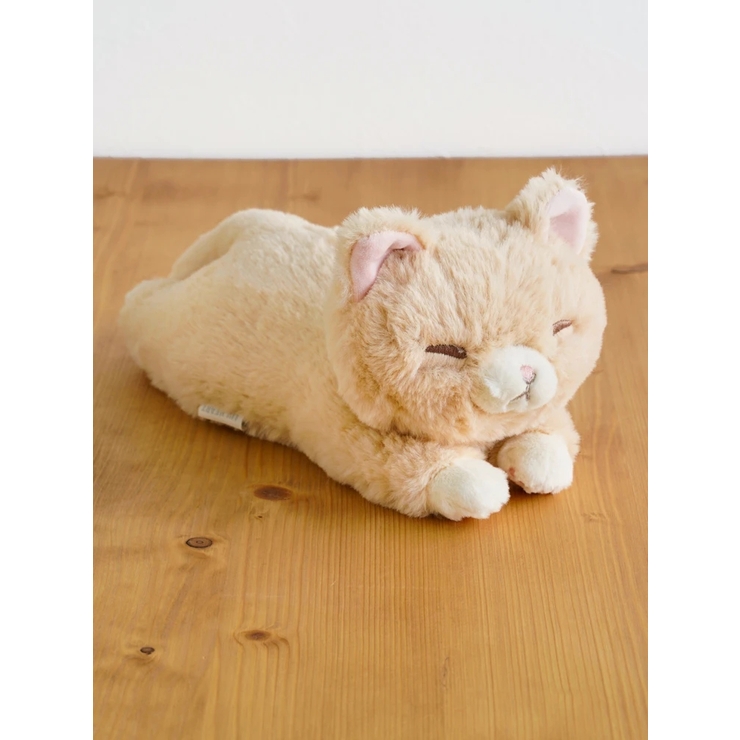 - | くたっとびより ミニクッション【茶ネコ】 | LUDIC PARK