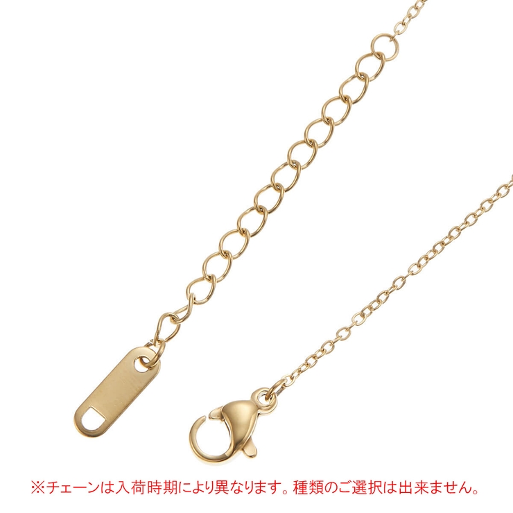 ネックレス レディース サージカルステンレス製 | アクセサリーショップPIENA | 詳細画像12 