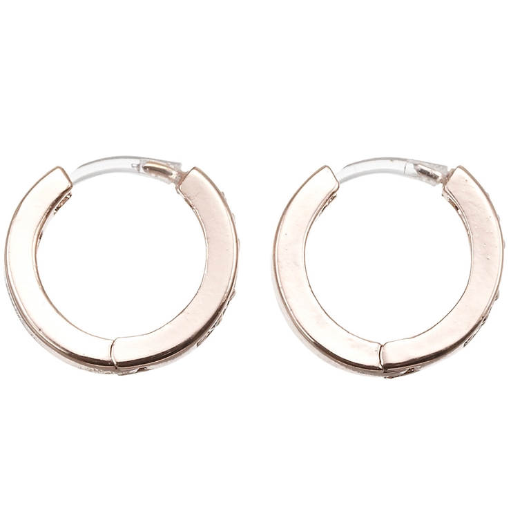 3色のフープピアス ノンアレルギーポスト ポリプロピレン樹脂製 | アクセサリーショップPIENA | 詳細画像7 