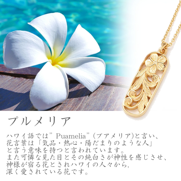 ネックレス レディース メンズ | アクセサリーショップPIENA | 詳細画像13 