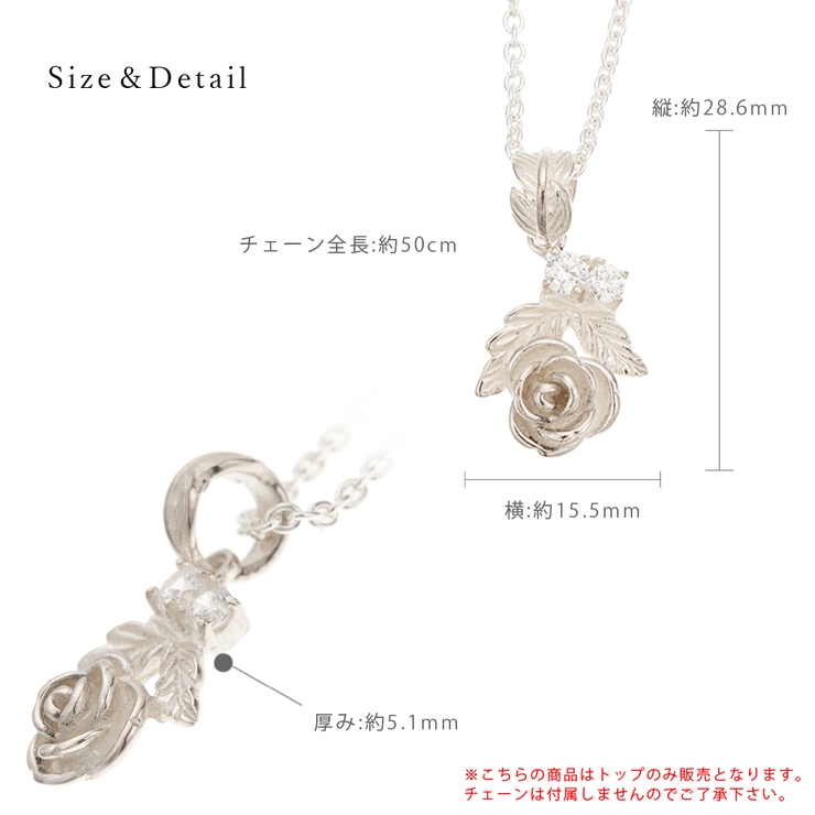 ペンダントトップ ネックレストップ メンズ | アクセサリーショップPIENA | 詳細画像4 