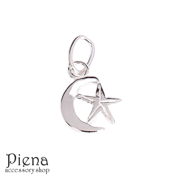 チャーム レディース メンズ | アクセサリーショップPIENA | 詳細画像1 