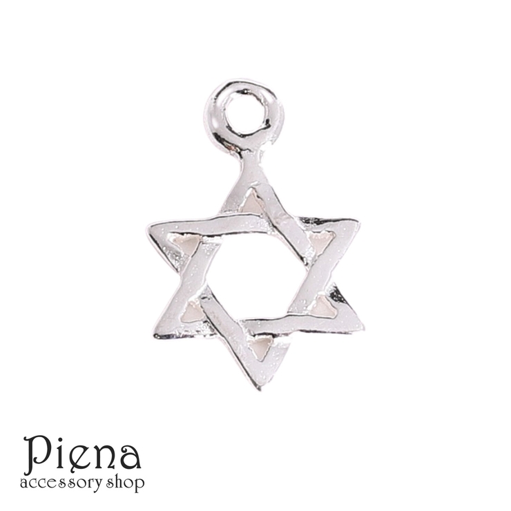 チャーム レディース メンズ | アクセサリーショップPIENA | 詳細画像1 