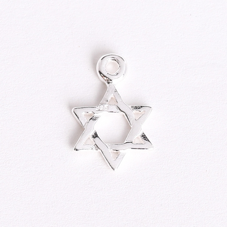 チャーム レディース メンズ | アクセサリーショップPIENA | 詳細画像2 