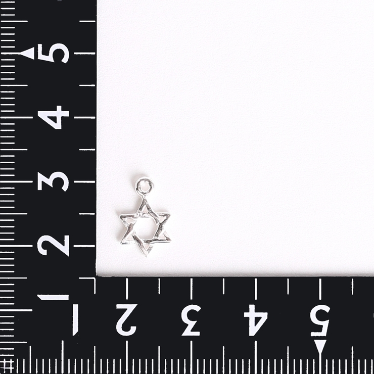 チャーム レディース メンズ | アクセサリーショップPIENA | 詳細画像4 