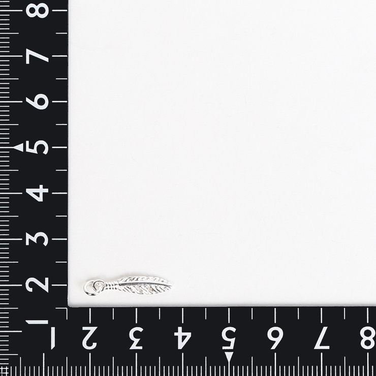 チャーム レディース メンズ | アクセサリーショップPIENA | 詳細画像4 