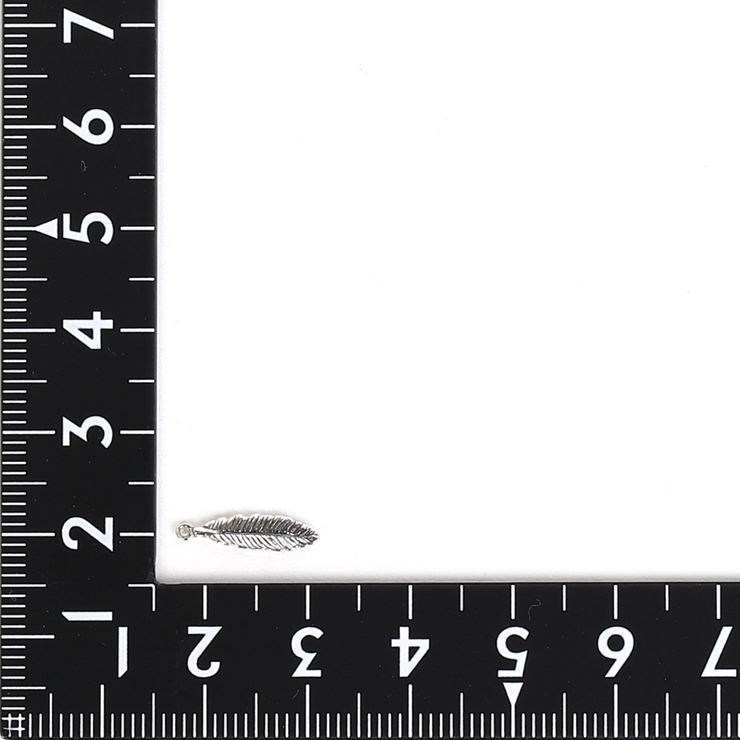 チャーム レディース メンズ | アクセサリーショップPIENA | 詳細画像4 