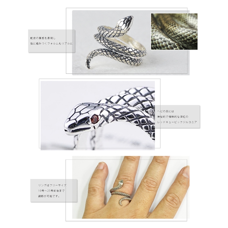 リング メンズ レディース | アクセサリーショップPIENA | 詳細画像2 