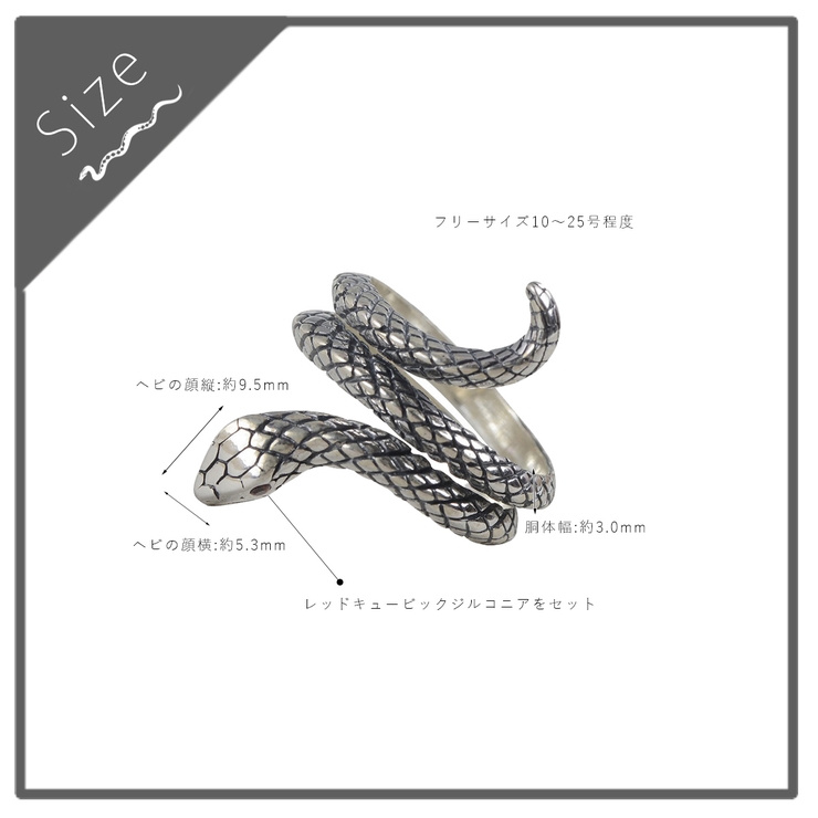 リング メンズ レディース | アクセサリーショップPIENA | 詳細画像4 