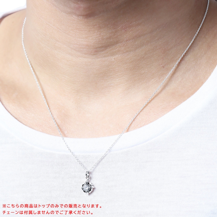 ペンダントトップ メンズ トップのみ[品番：PENA0029173